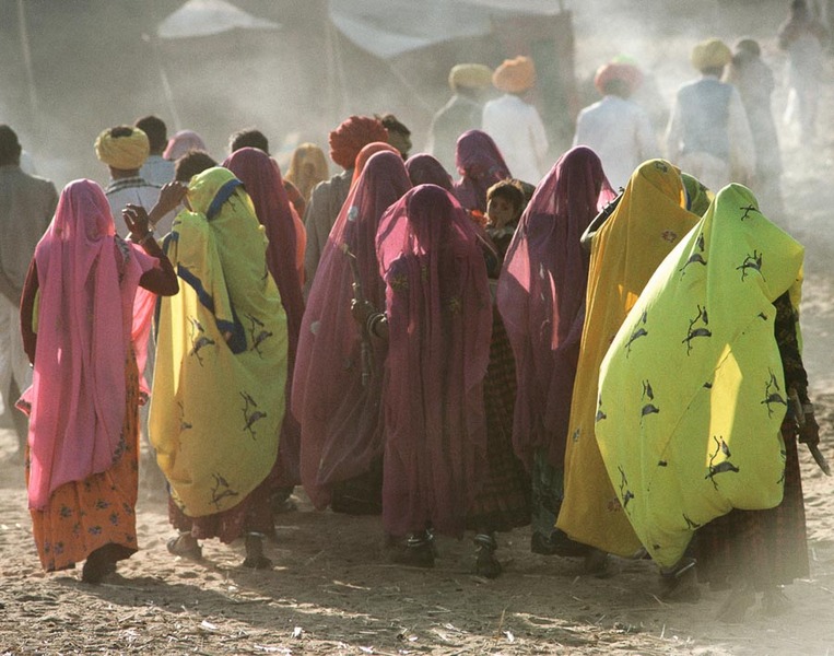 Saris 1 - Rajasthan