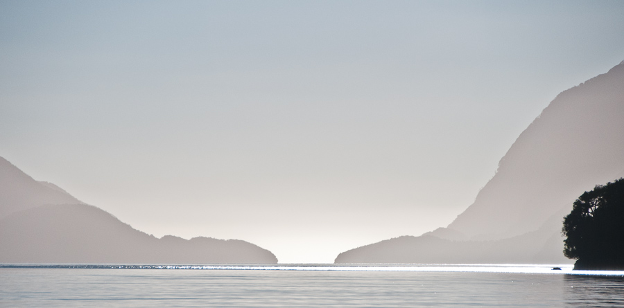 Dusk - Doubtful Sound, New Zealand