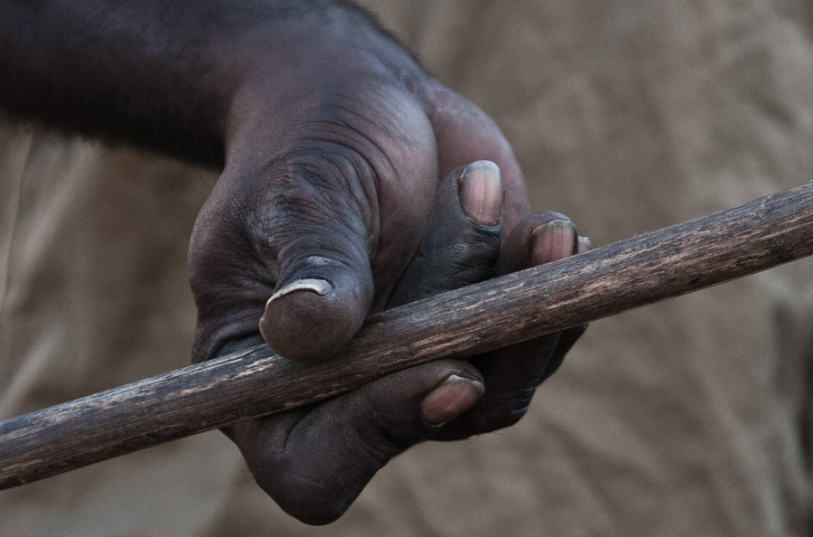 Aboriginal Spear - Kakadu, Australia