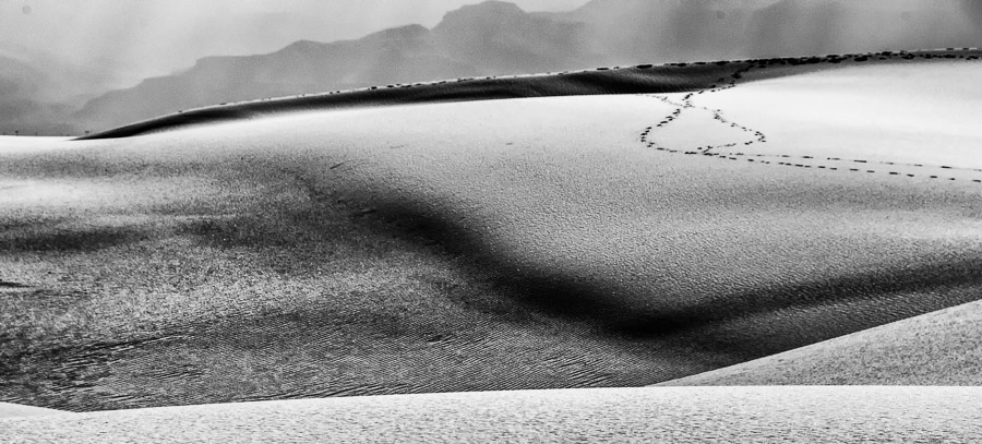 Dune -
White Sands, New Mexico