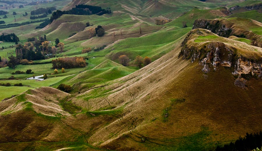 Hobbit Country - Napier, New Zealand