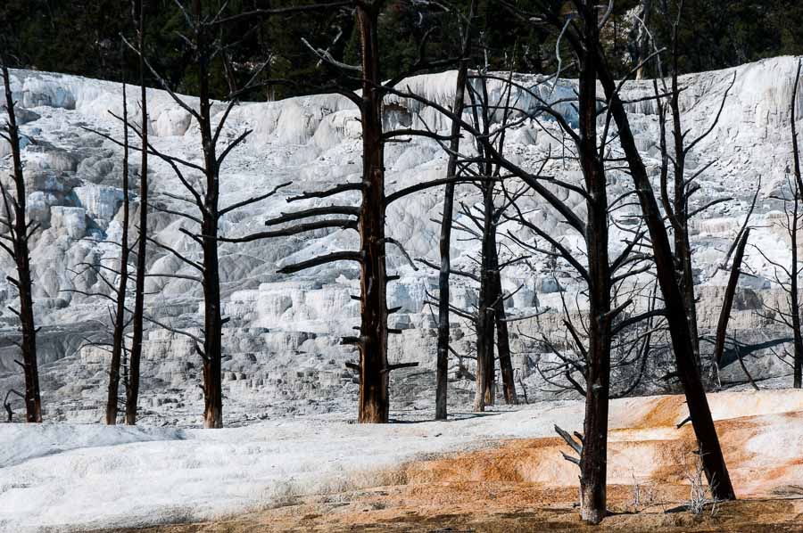 Stark Outlines -Yellowstone, Montana