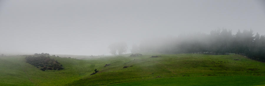 Disappearing Horizon  - Dunedin , New Zealand