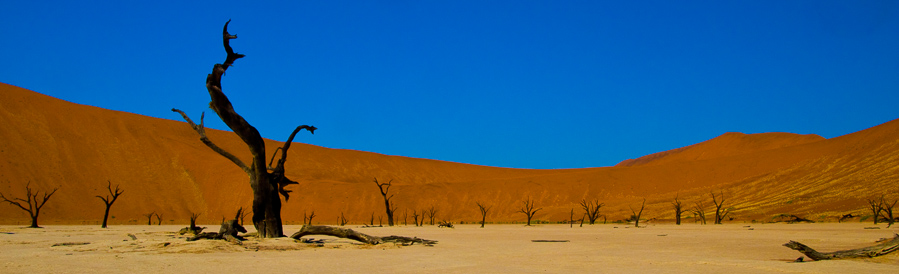 Deadvlei -
Sossussvlei, Namibia