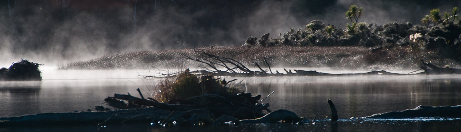 Morning Mist -
Okarito, New Zealand