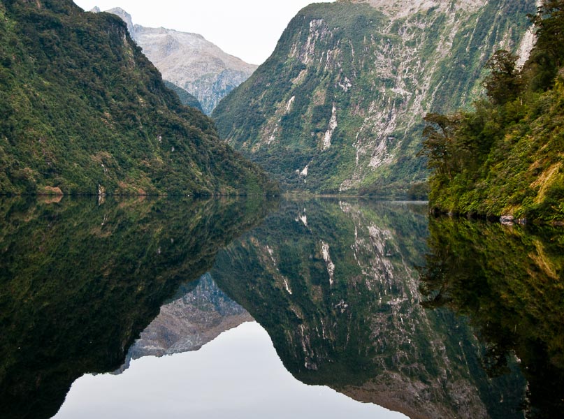 Fjord Reflection - Doubtful Sound, New Zealand