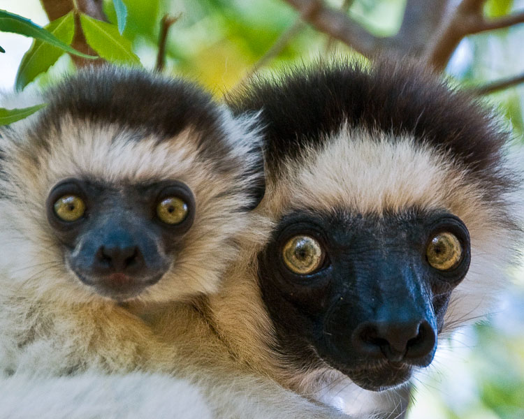 Sifika Mom and Baby - Ft Dauphin, Madagascar