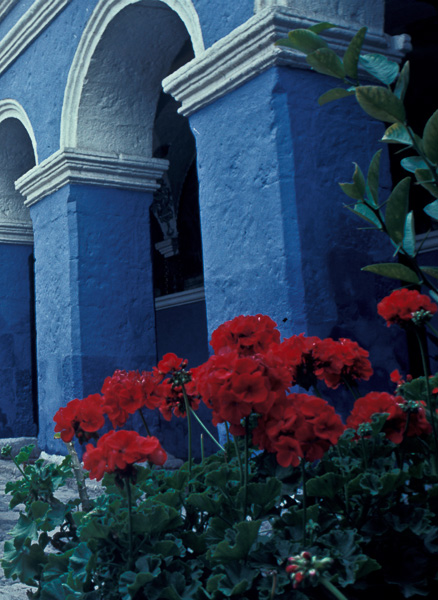Flowers and Arches - Arequipa, Peru 