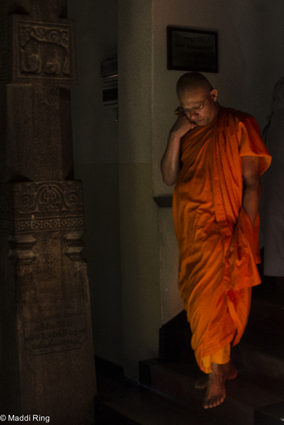 Monk - Sri Lanka 