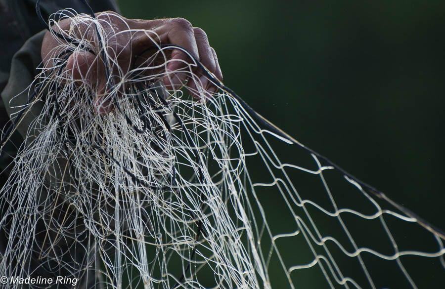 Grabbing the Net- Rio Negro, Brazil