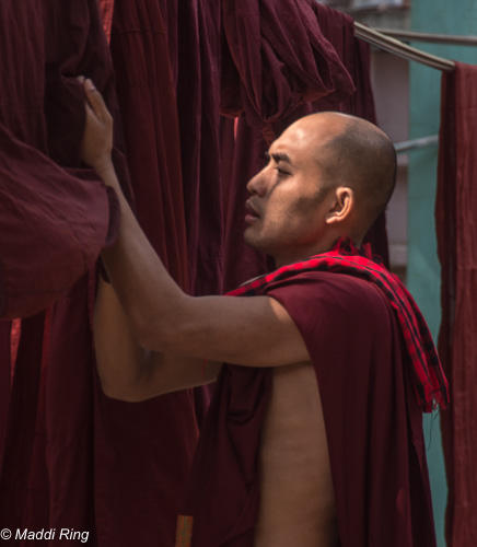 Monk - Amarapura, Myanmar