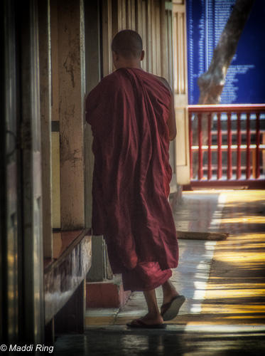 Monk  - Amarapura, Myanmar