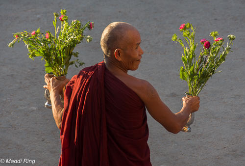 Monk - Kalaw, Myanmar