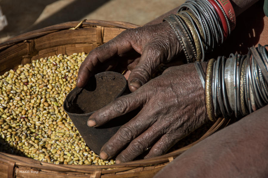 Vendor - Orissa, India