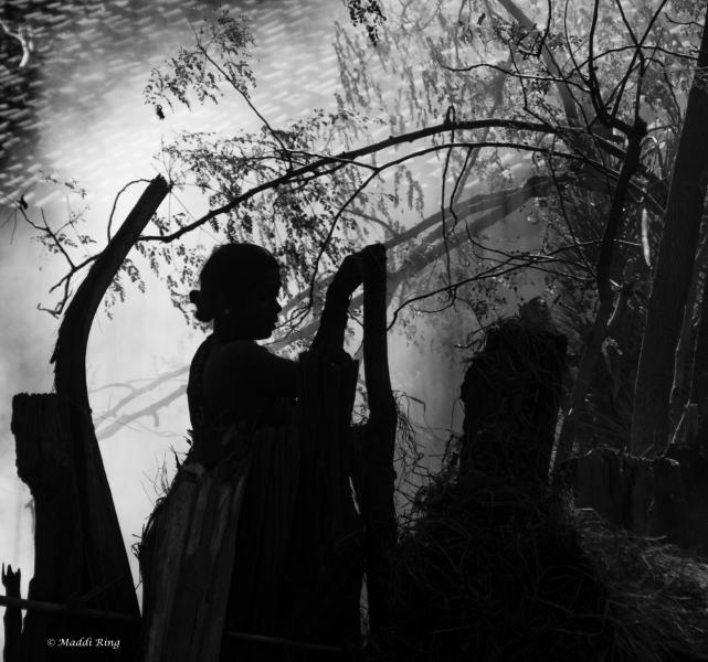 Morning Chores - India