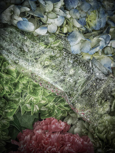 Market flowers - Bogota 