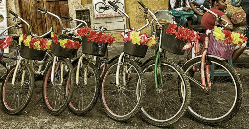 Bike Line Up - Cartagena