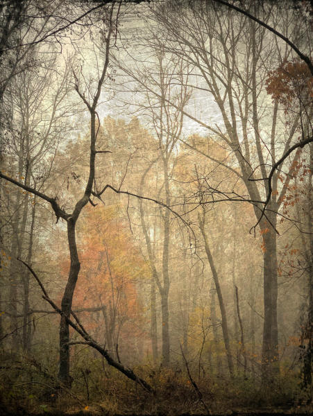 Fall Mist - Morristown, New Jersey