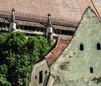 All images © Maddi Ring