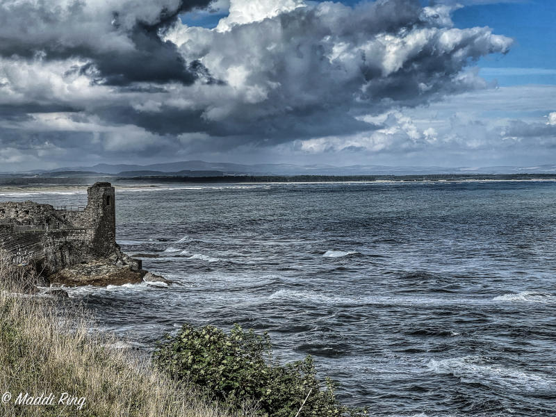 North Shoreline - St Andrews