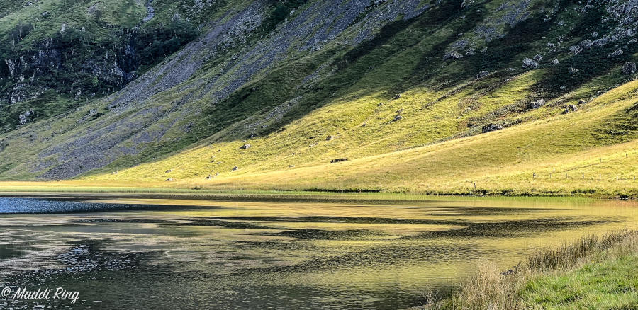 Hillside - Glencoe